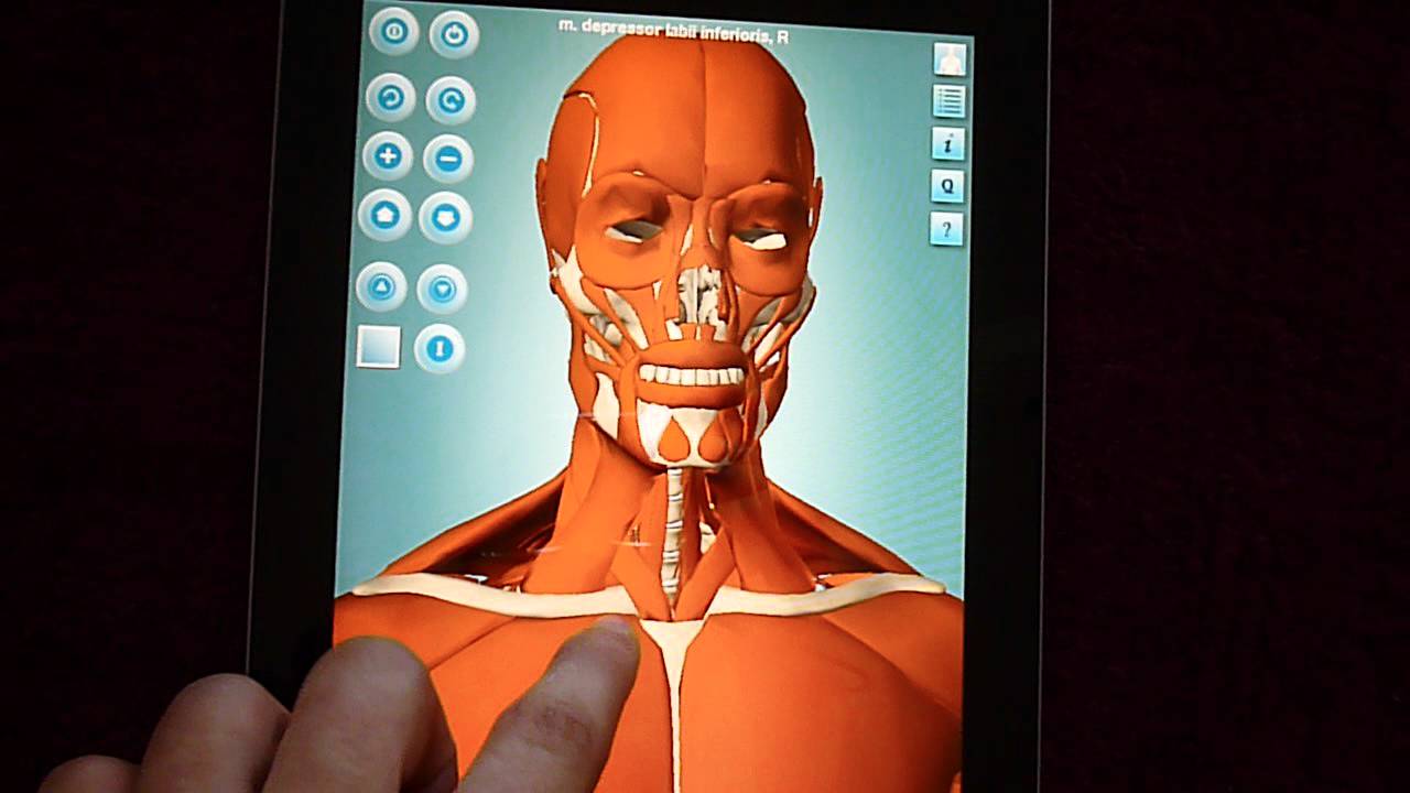 3d anatomy software
